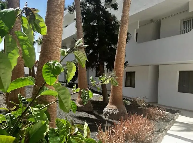 Casa Tropical דירה קוסטה דה אנטיגואה